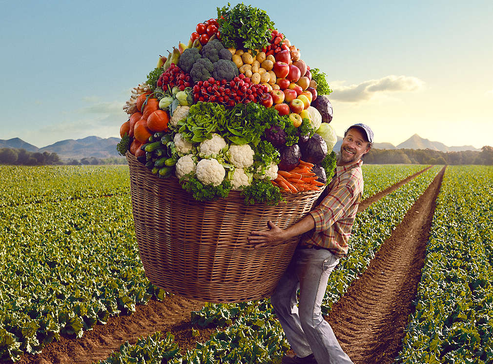 A man stands in a field with an oversized basket of fresh, local fruits and vegetables