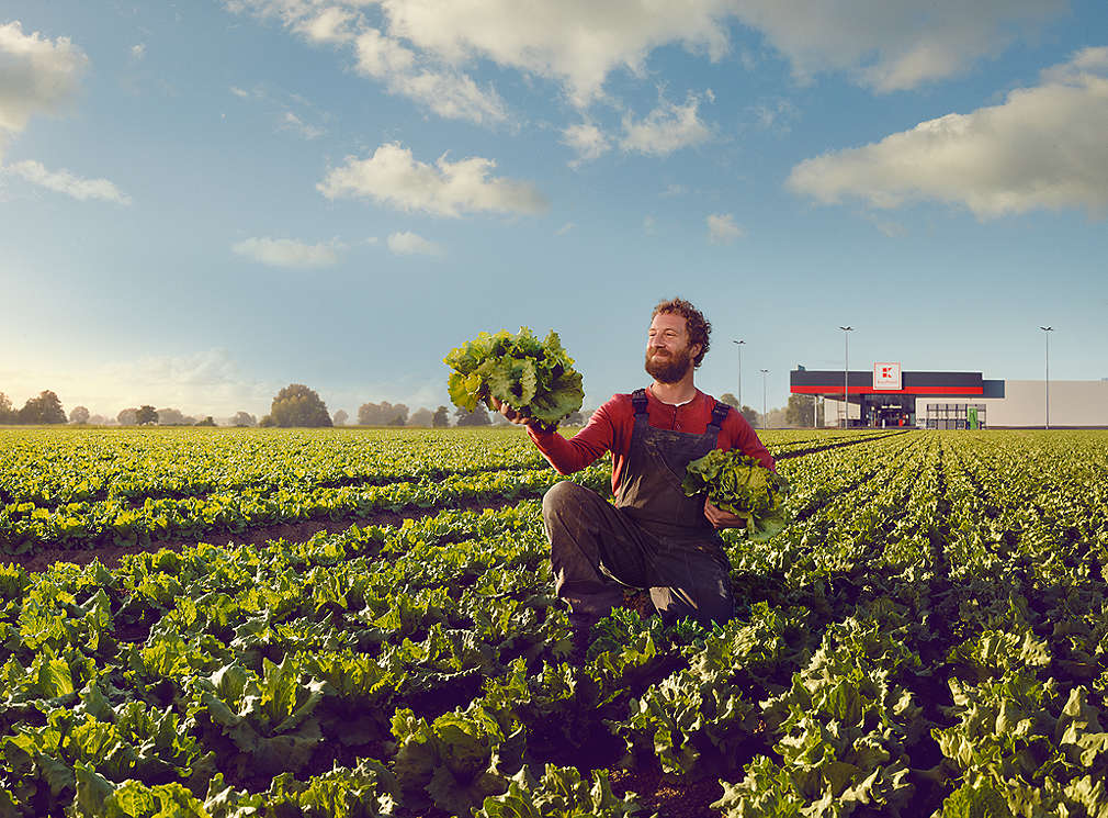 Изображение на човек, държаш маруля в поле 