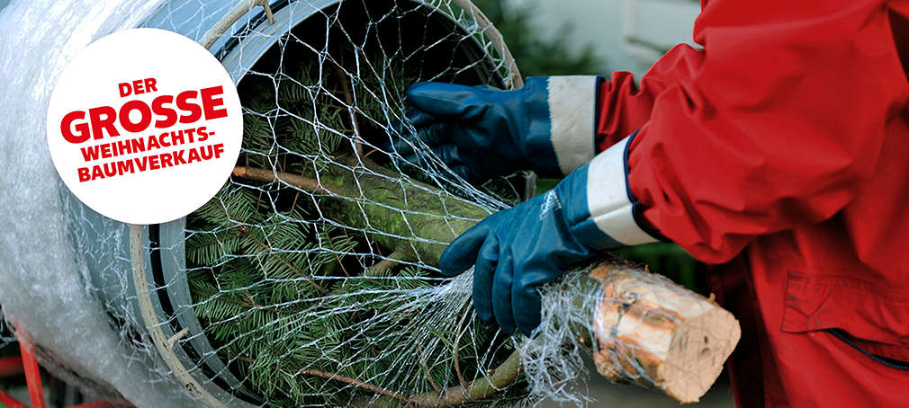 Störer: Der große Weihnachtsbaumverkauf