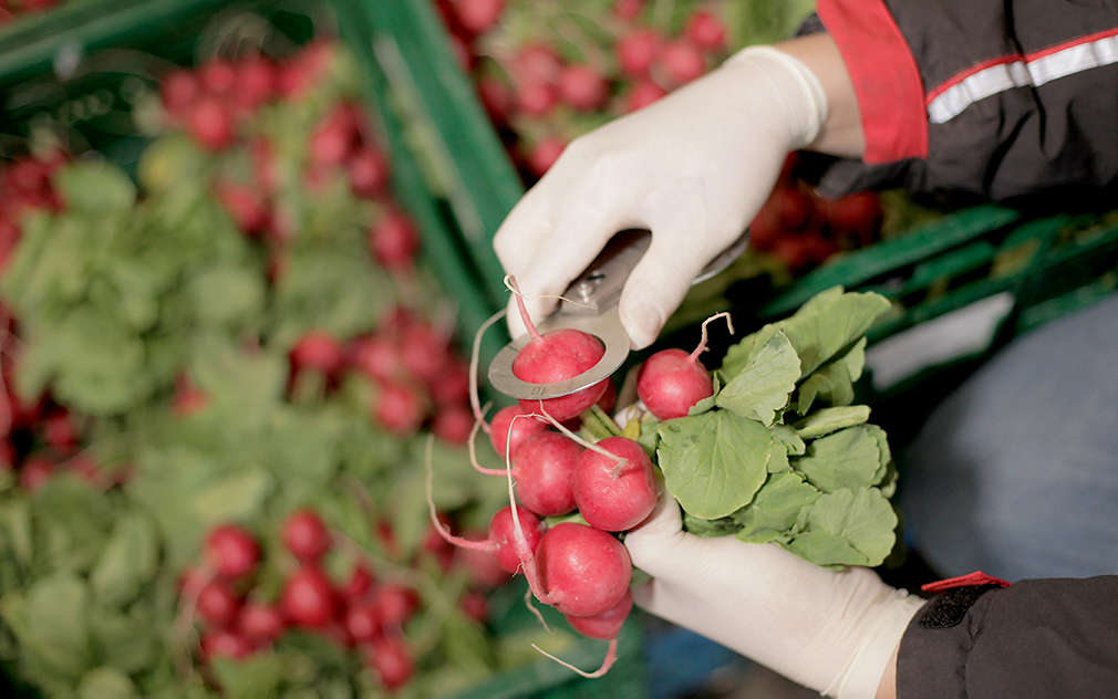 Представяме ви едно нестандартно решение за реклама, което ангажира вниманието на чакащите на каса и директно насочва към съответния продукт, марка, магазин. , ����������� �� ���� ������������ ������� �� �������, ����� �������� ���������� �� �������� �� ���� � �������� ������� ��� ���������� �������, �����, �������.