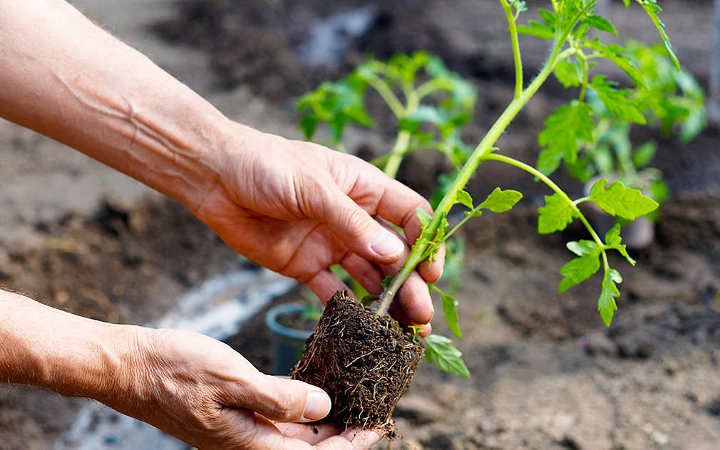 Представяме ви едно нестандартно решение за реклама, което ангажира вниманието на чакащите на каса и директно насочва към съответния продукт, марка, магазин. , ����������� �� ���� ������������ ������� �� �������, ����� �������� ���������� �� �������� �� ���� � �������� ������� ��� ���������� �������, �����, �������.