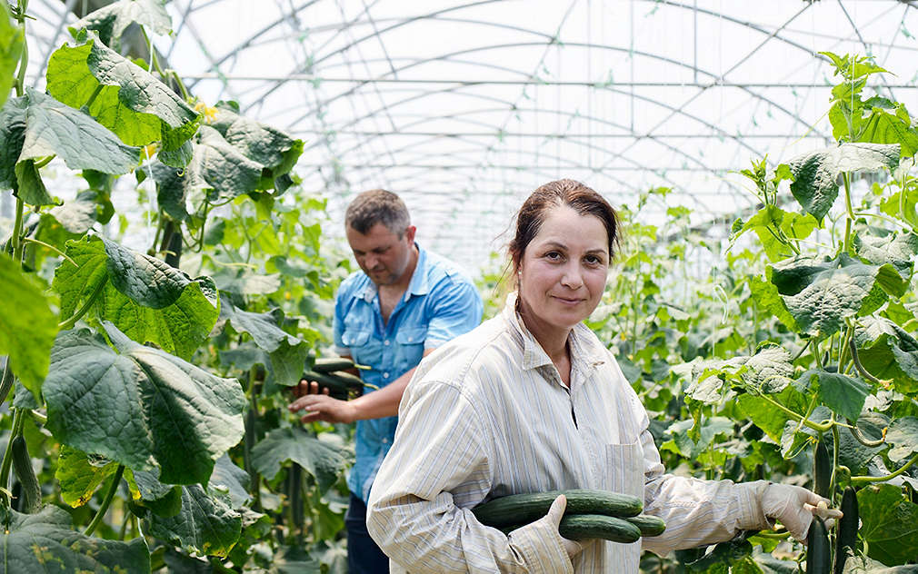 Нашите производители - Атанас и Елена Севови от село Катуница