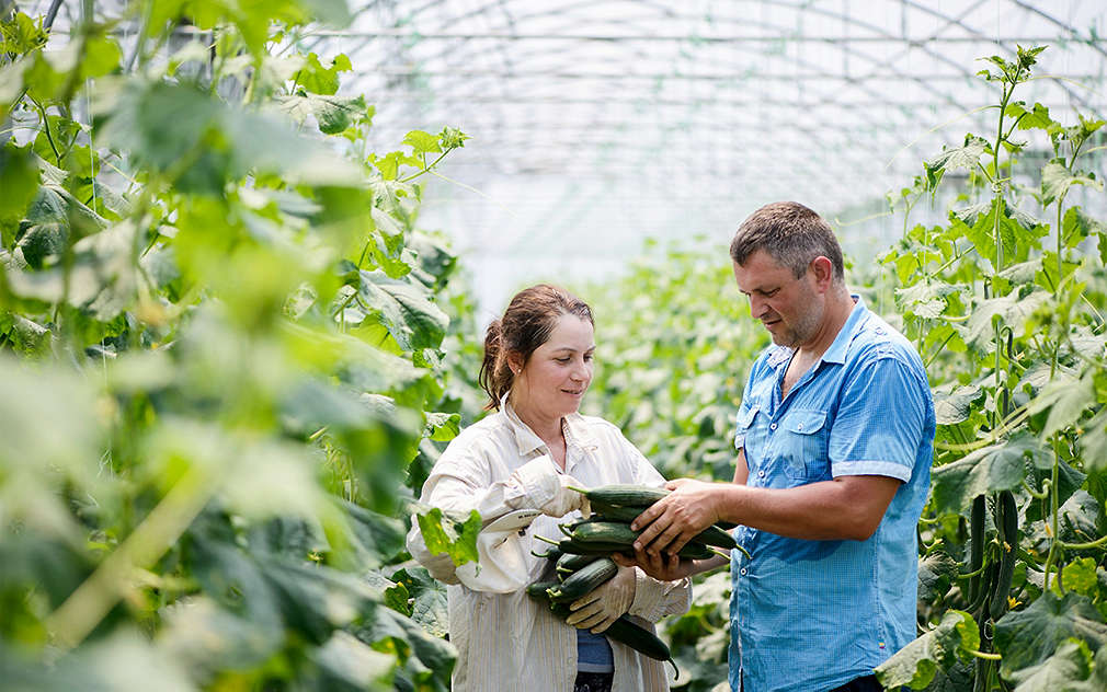 Нашите производители - Атанас и Елена Севови от село Катуница