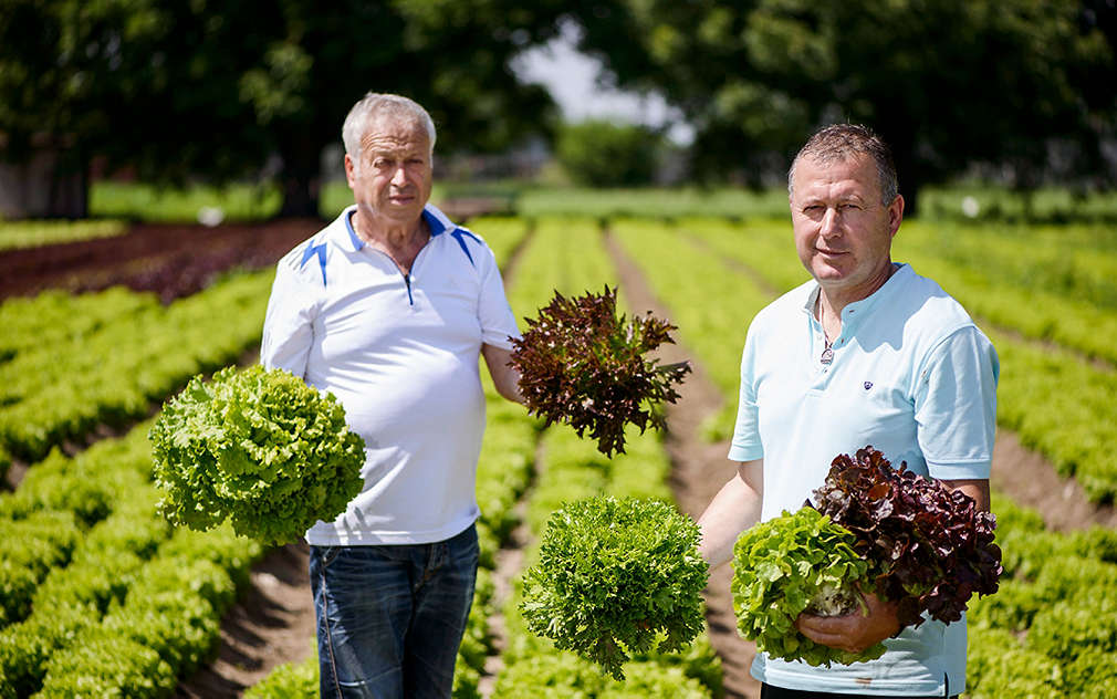 Нашите производители - фамилията на Ангел Димитров от село Ягодово