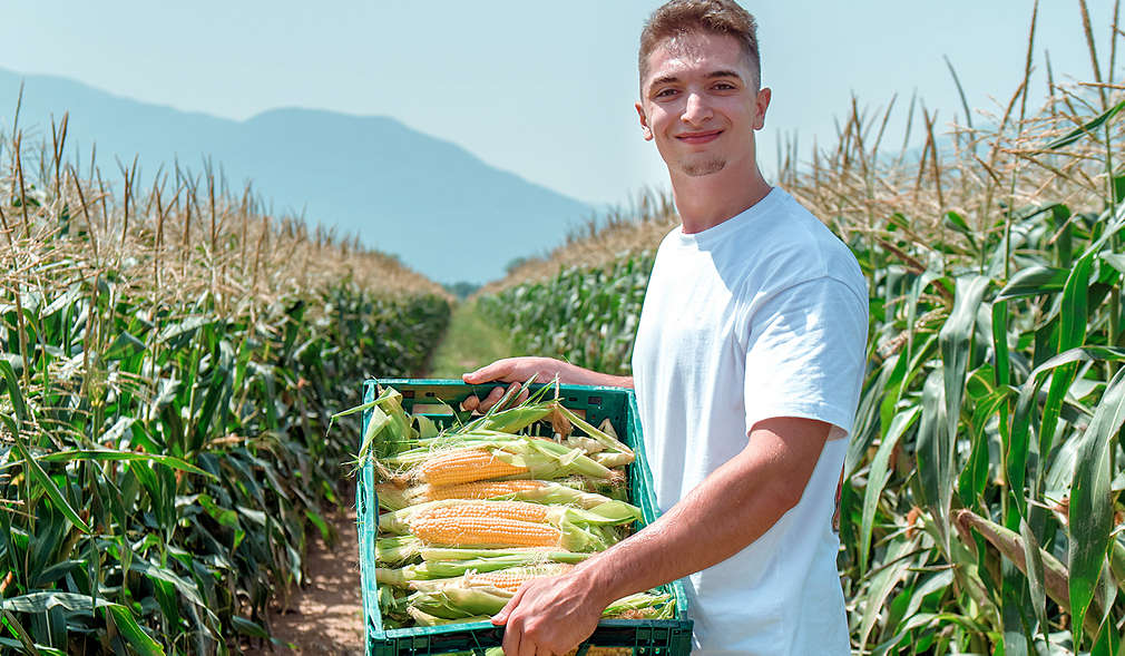 Нашите производители - Семейство Ралинови от Пазарджик