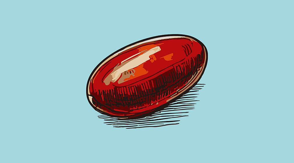 Abbildung einer Bohne