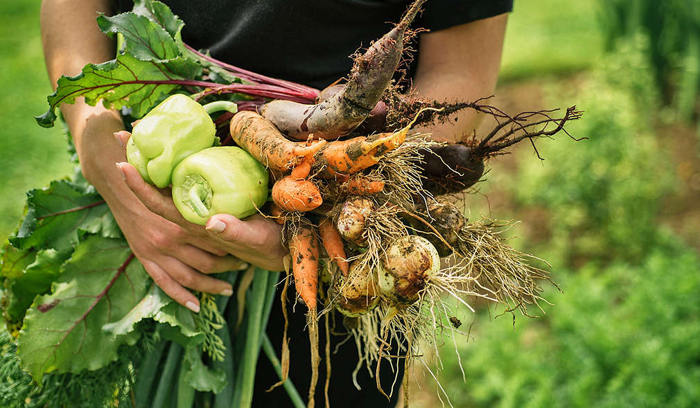 Изображение на свежи зеленчуци в женски ръце