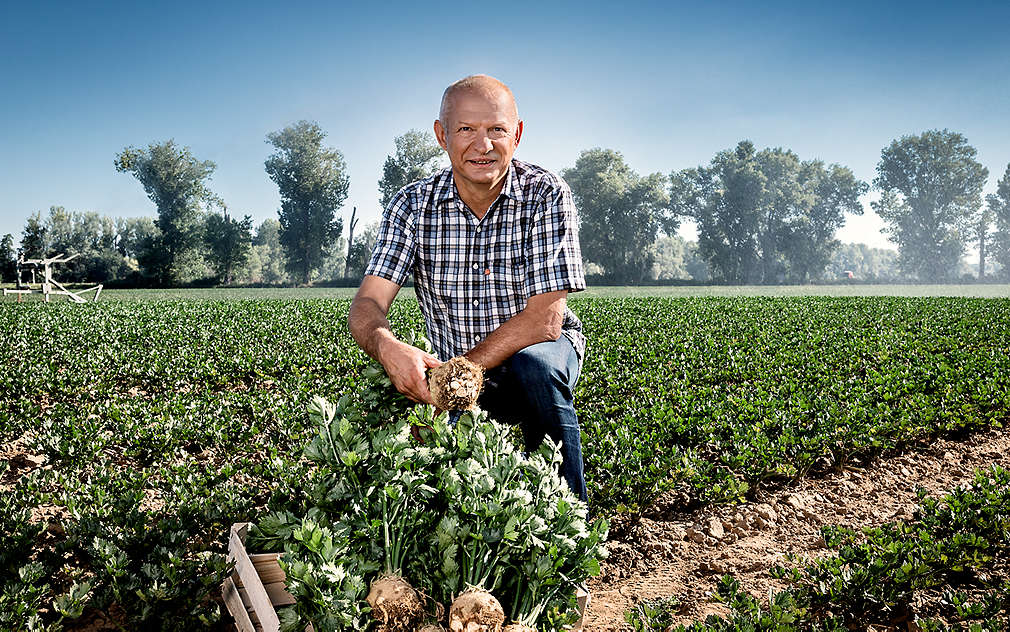 dodavatel Hanka Mochov