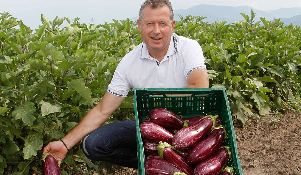 Нашите производители - фамилията на Ангел Димитров от село Ягодово