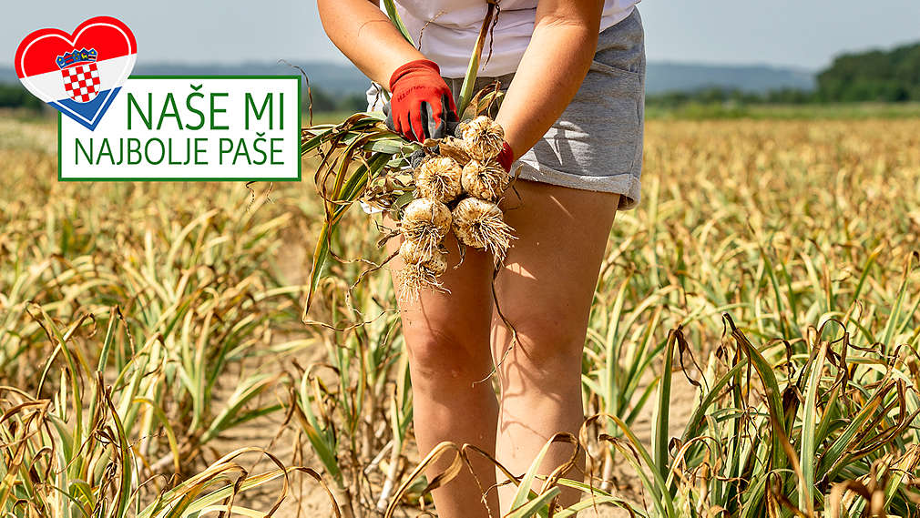 OPG Agrosan - domaće povrće uzgojeno pored jezera Novo Čiče