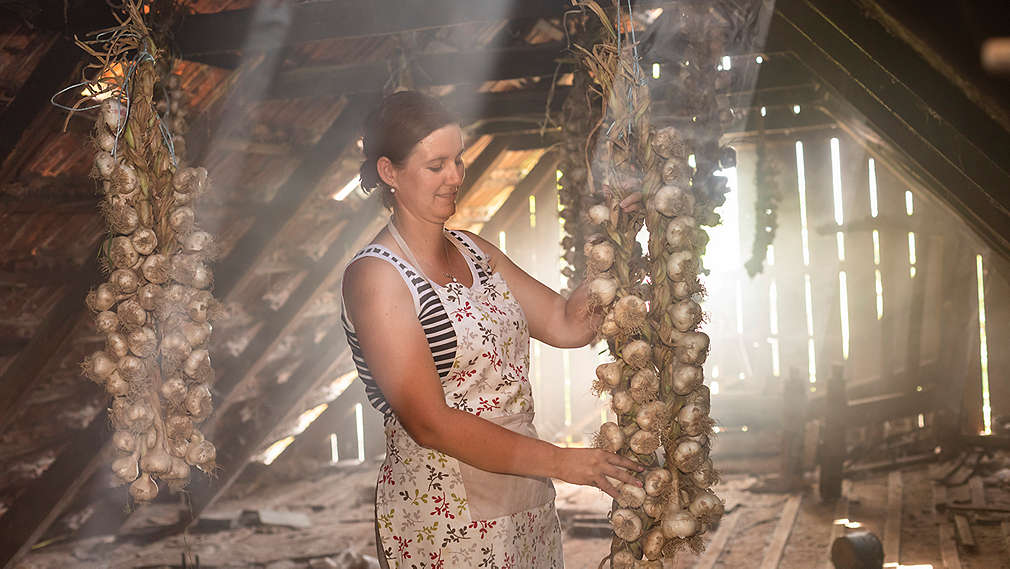 OPG Agro Puškarić - Kaufland