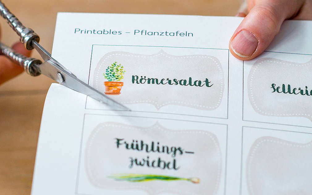 countryside etikety na bylinky k vystřižení