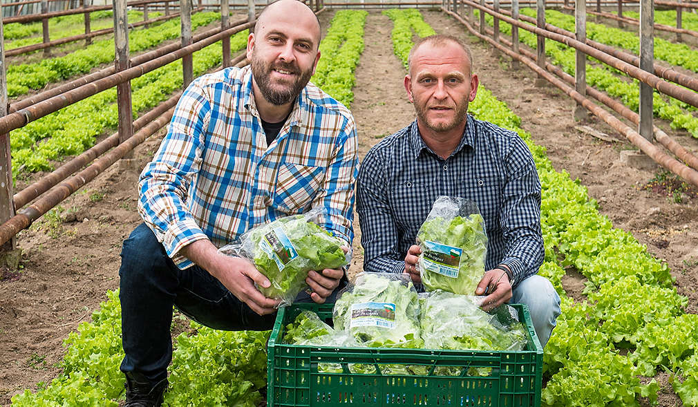 Нашите производители - фирма "Гард Инвест"