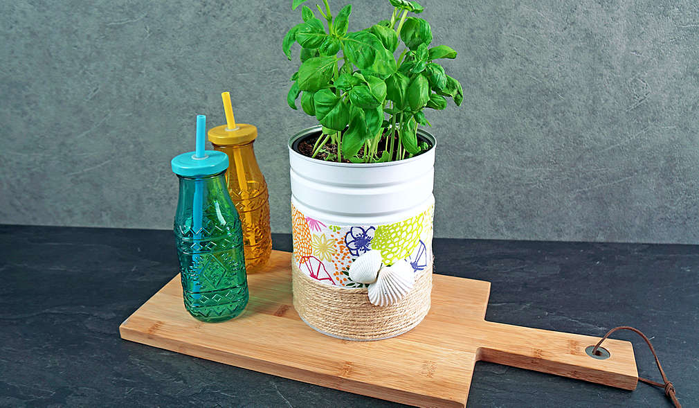 Basilikum in selbst gebasteltem Übertopf und daneben Trinkflaschen