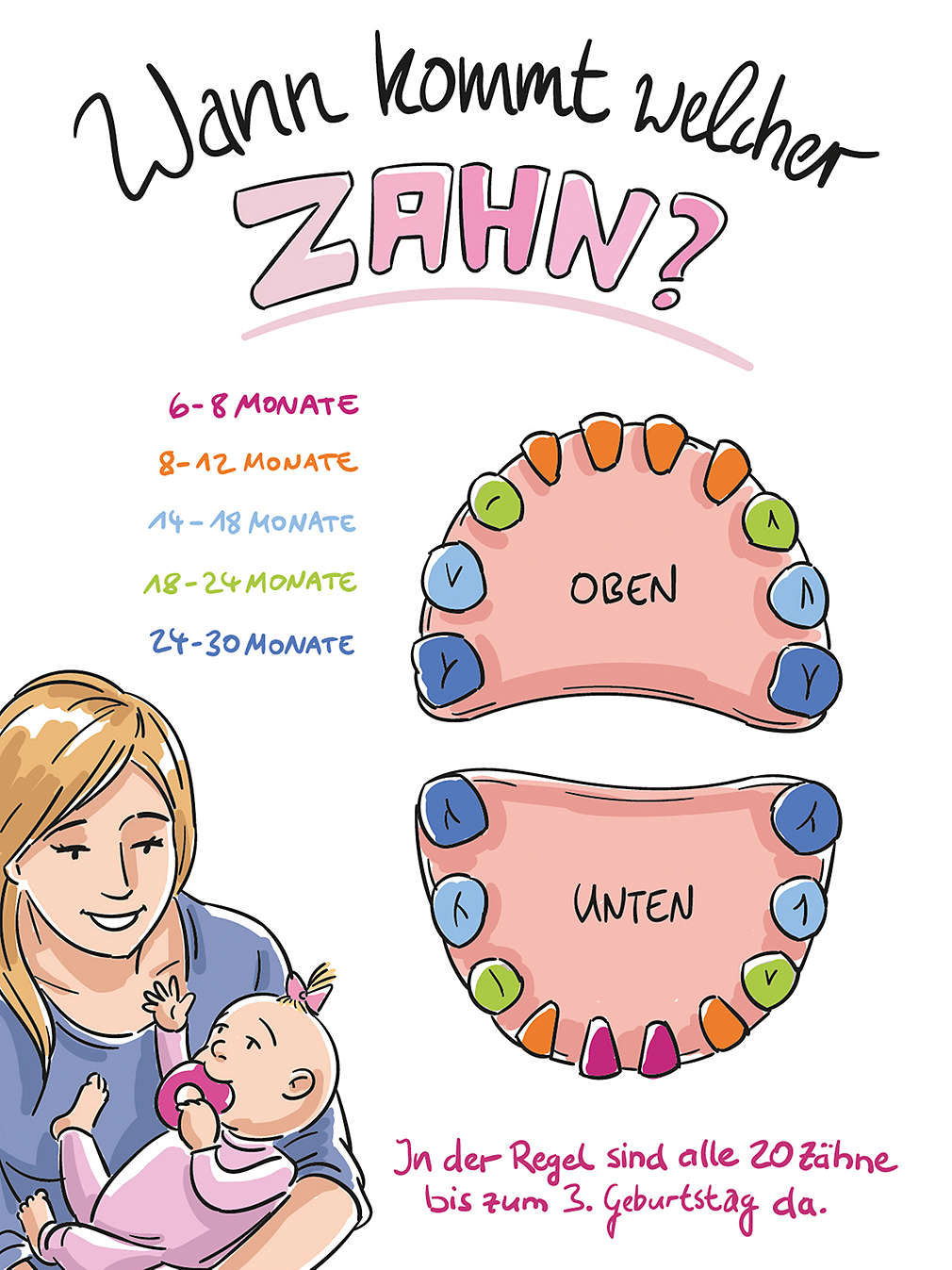 Infografik „Wann kommt welcher Zahn”