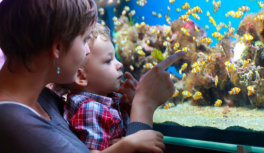 Mutter und Kind vor Aquarium