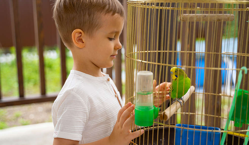 Junge mit Wellensittich