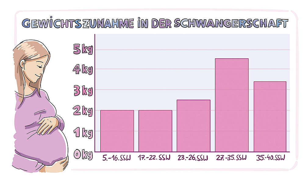Abbildung „Gewichtszunahme in der Schwangerschaft"