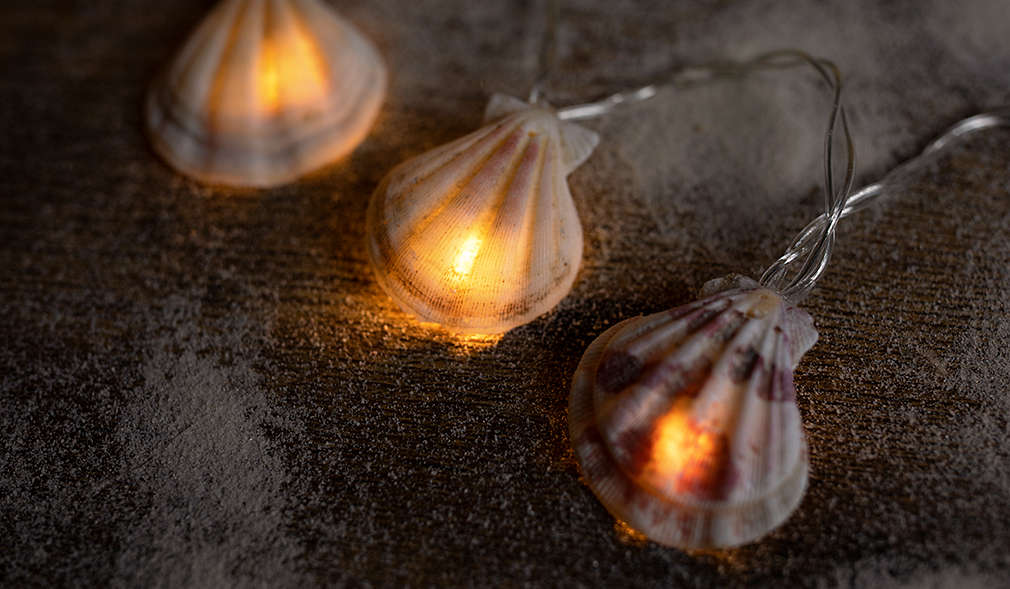 Lichterkette aus Muscheln