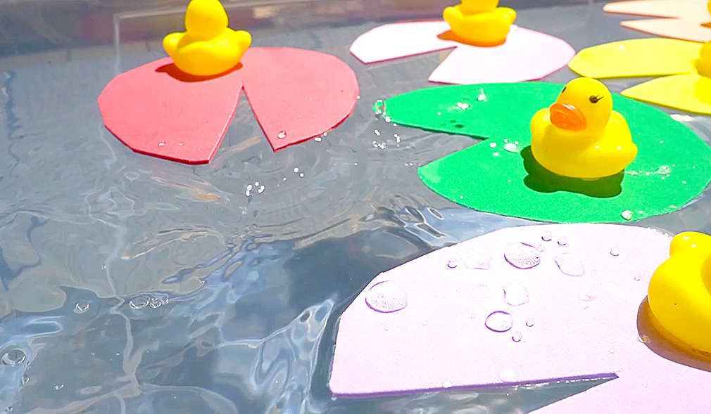 Enten treiben auf Seerosen