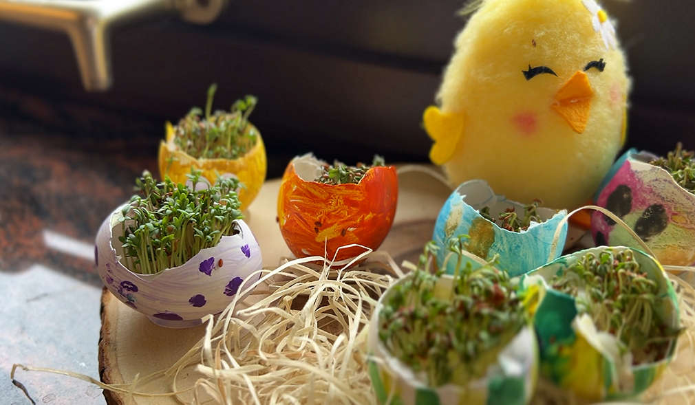 Bemalte Eierschalen mit Kresse