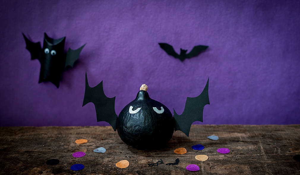 Fliegende Kürbis-Fledermaus 