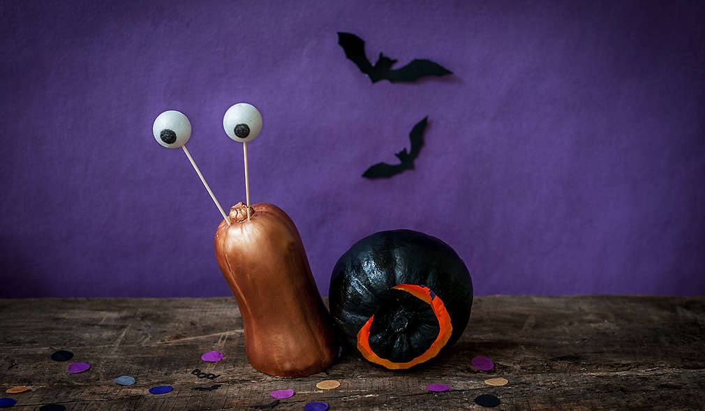 Süß-schaurige Kürbis-Schnecke 
