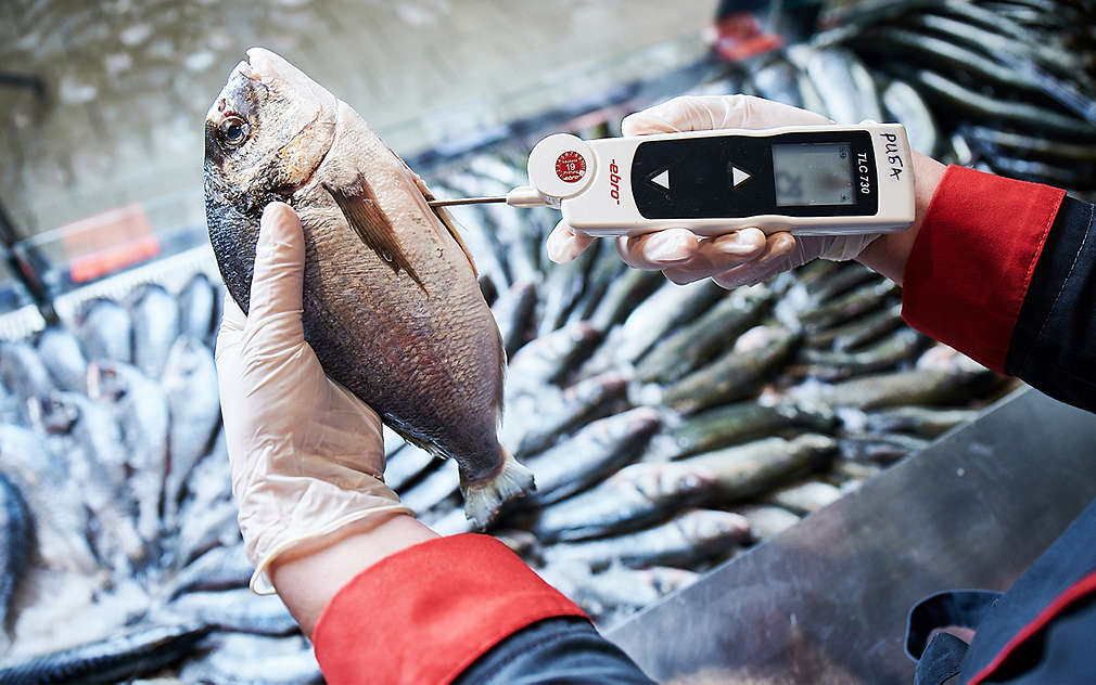 Изображение на витрината с прясна риба и морски деликатеси