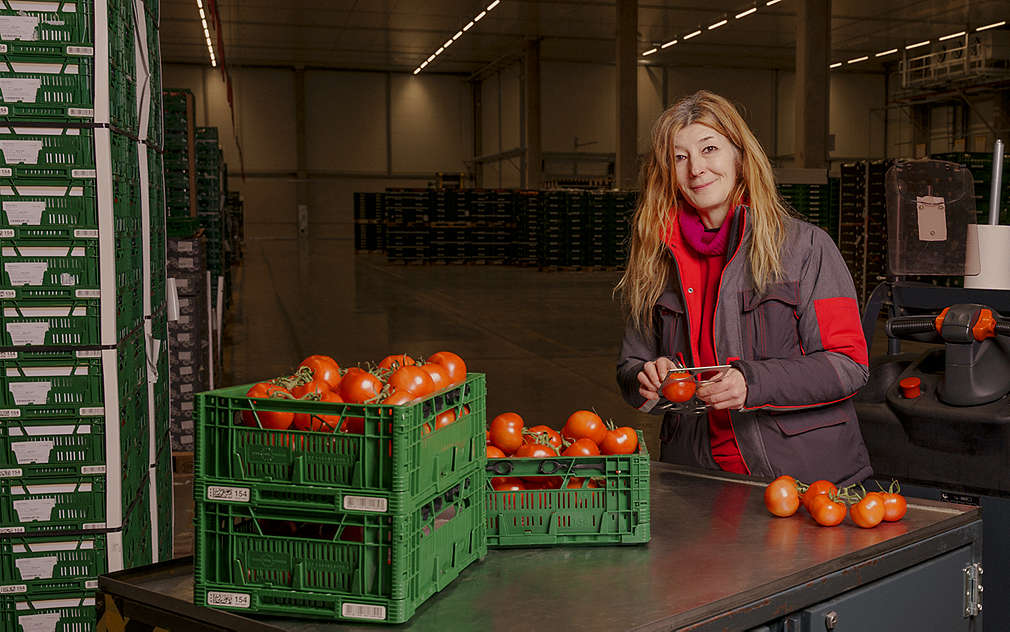 žena ve skladu kontroluje kvalitu a čerstvost rajčat