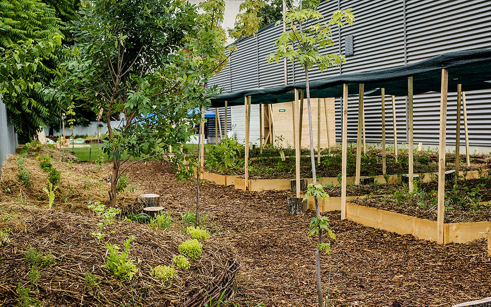 Grădina Urbană Bucureștii Noi