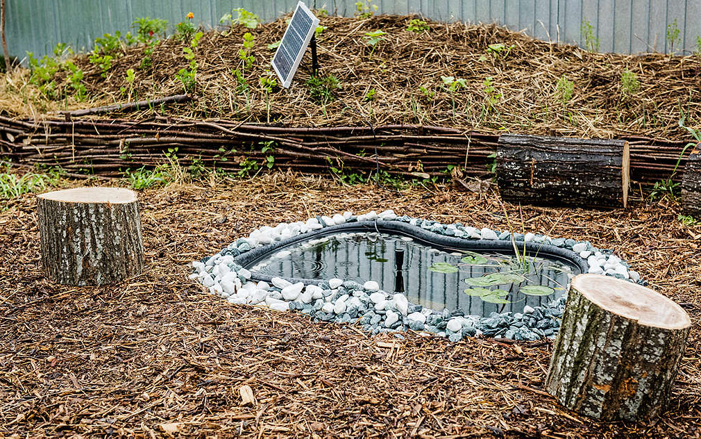 Grădina Urbană Bucureștii Noi