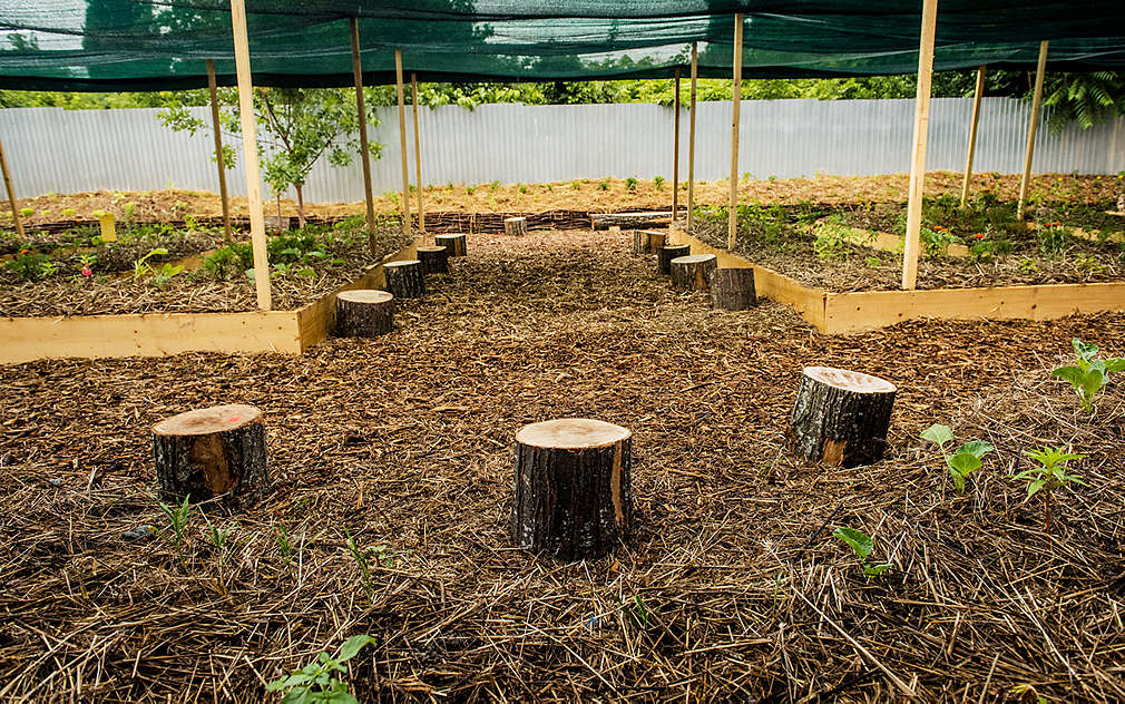 Grădina Urbană Bucureștii Noi