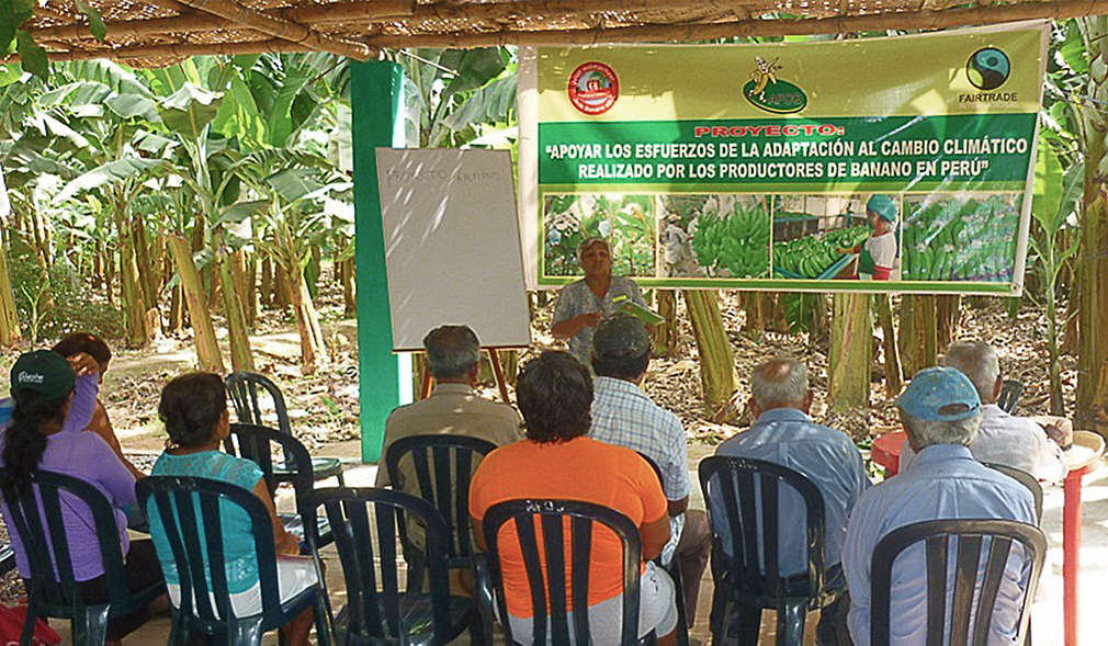 Ausbildung von Kleinbauern in Querecotillo
