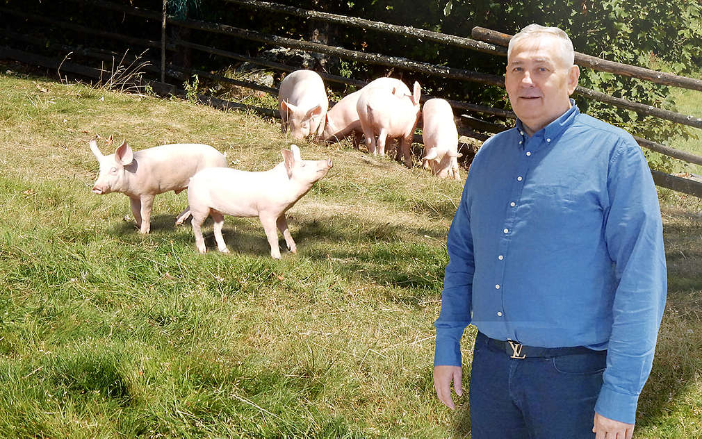 Firma Maso Brejcha dodává pro Kaufland vepřové