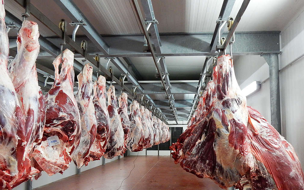 Hovězí půlky musí být kvalitní a dobře uskladněné