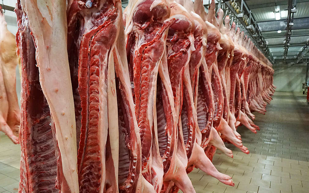 Vepřové maso je uskladněné při stálé teplotě