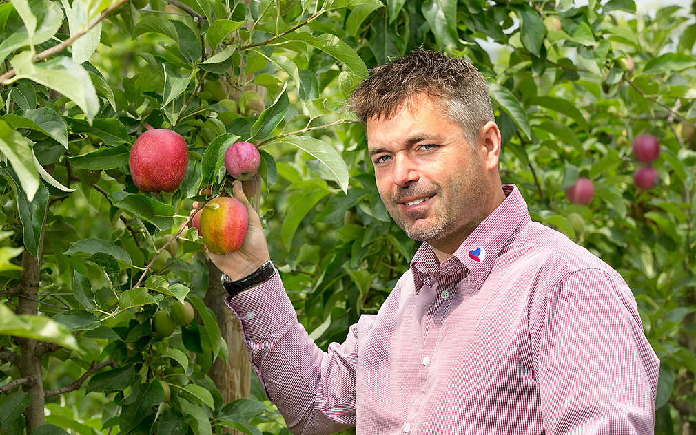 Pan Vyšata z Bohemia Apple