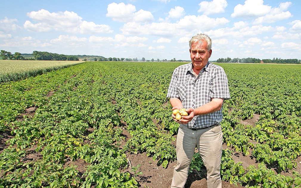 Pan Ing. Zdeněk Moc na poli ve Starém Vestci