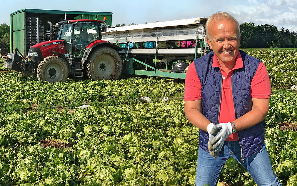 Pan Pokorný pěstuje v Semicích brambory