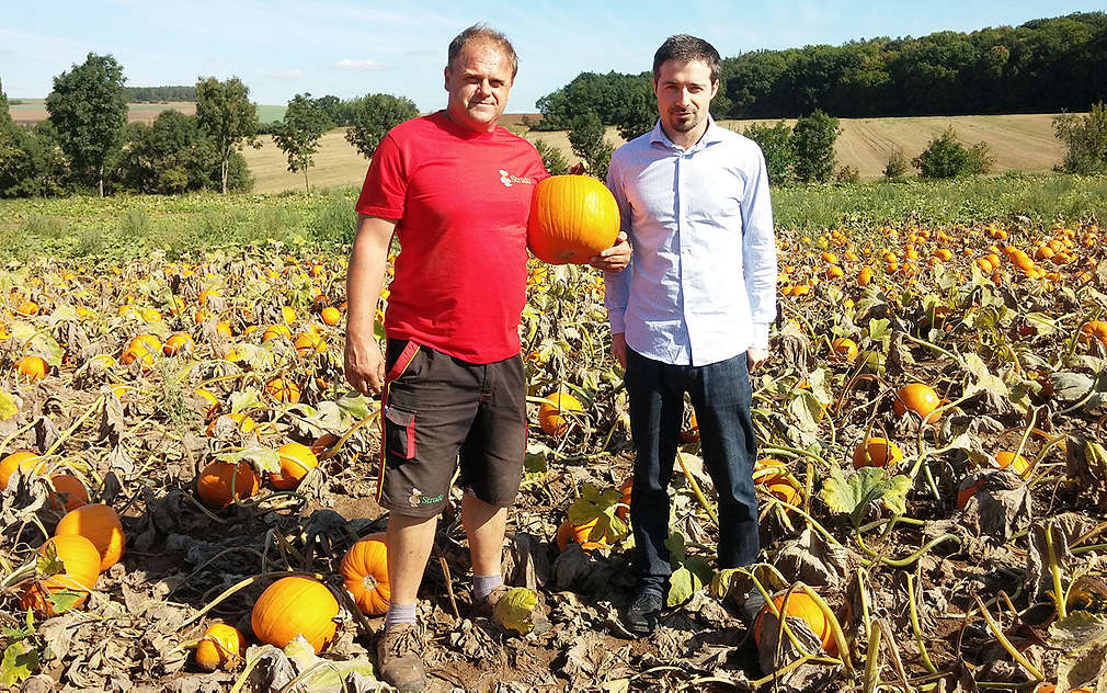 Kvalitu dýní jsme ověřili přímo na poli