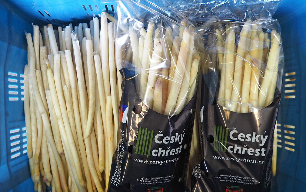 Krásně zabalený chřest pro zákazníky Kauflandu