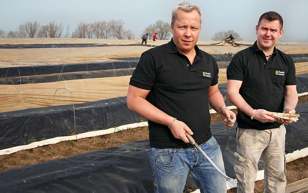Pan Šandera a pan Šafář z firmy Český chřest