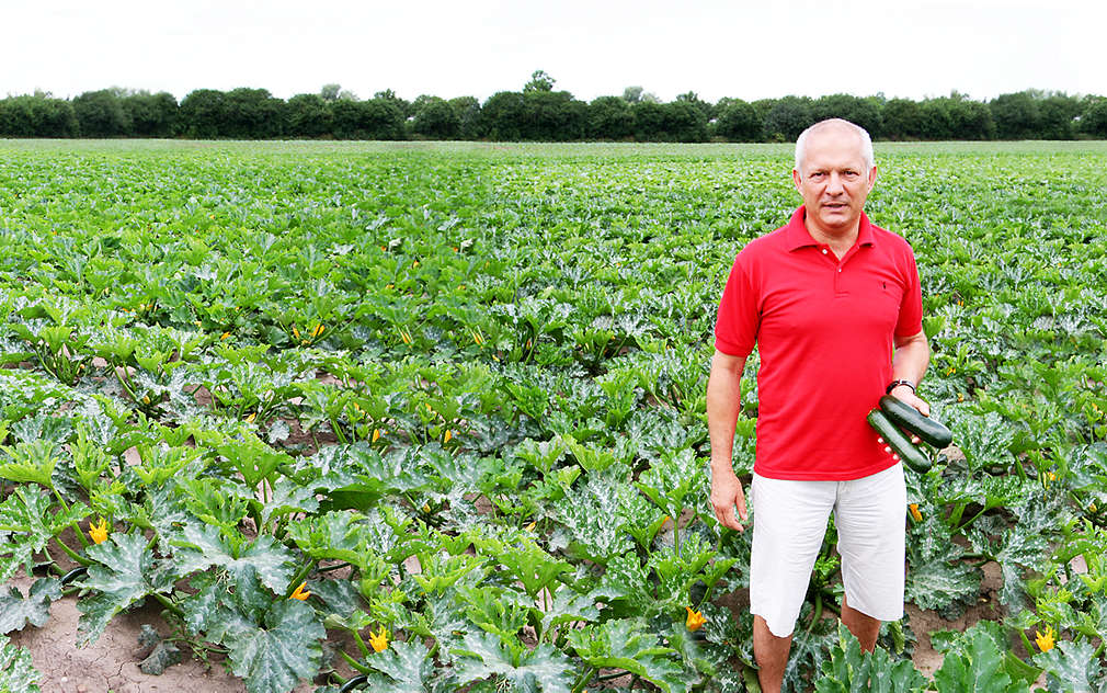 Pan Hanka v Mochově pěstuje bio zeleninu