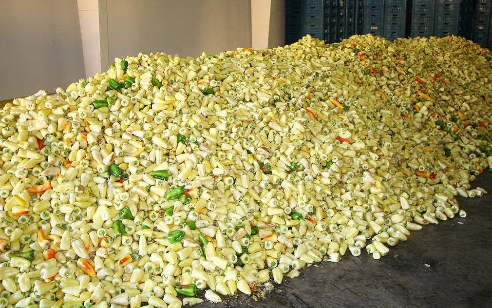 Bílá paprika je skvělá na vaření i na svačinu