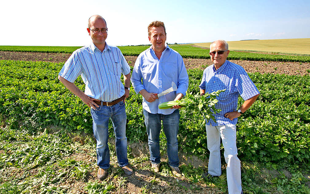 Podívali jsme se na pole, kde roste řapíkatý celer