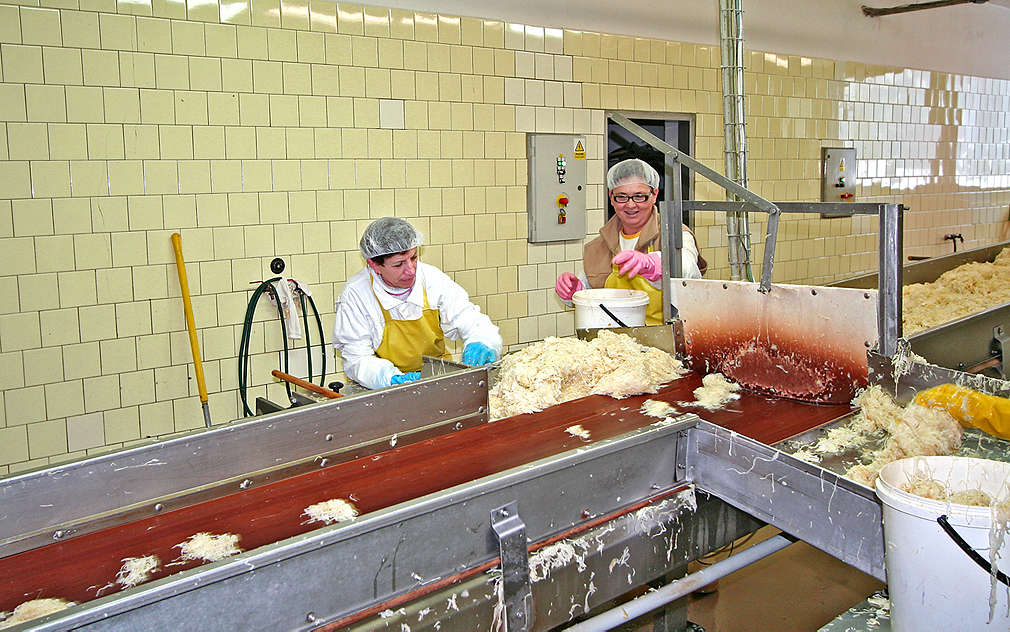 Zelí SAMIR se vyrábí pečlivě a s láskou