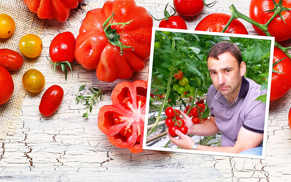 Ověřili jsme pro vás kvalitu rajčat z Tvrdonic