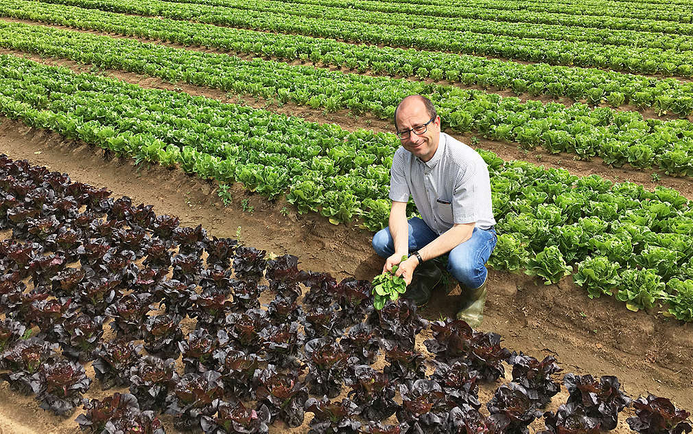 Pan Valtr nám ukázal pole, kde rostou salátky