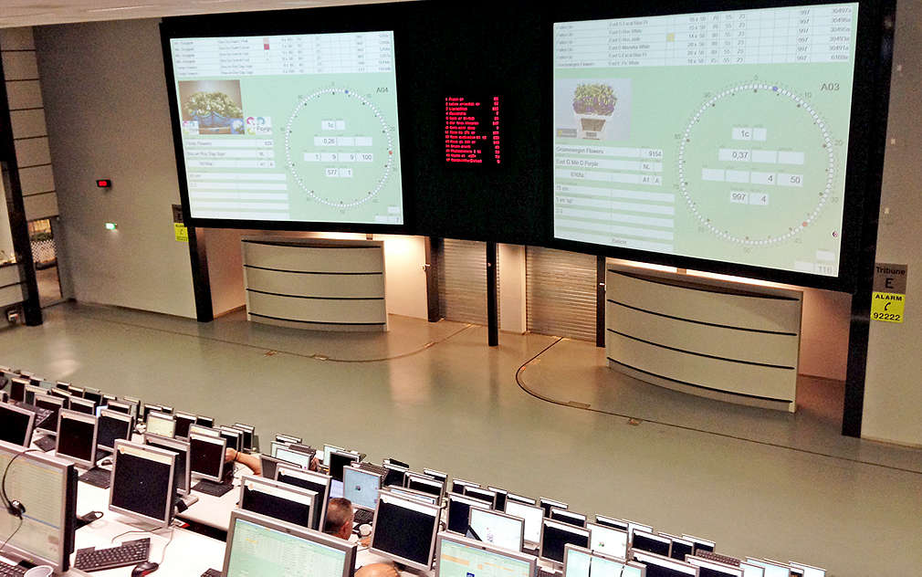 Nakoukli jsme i na květinovou burzu