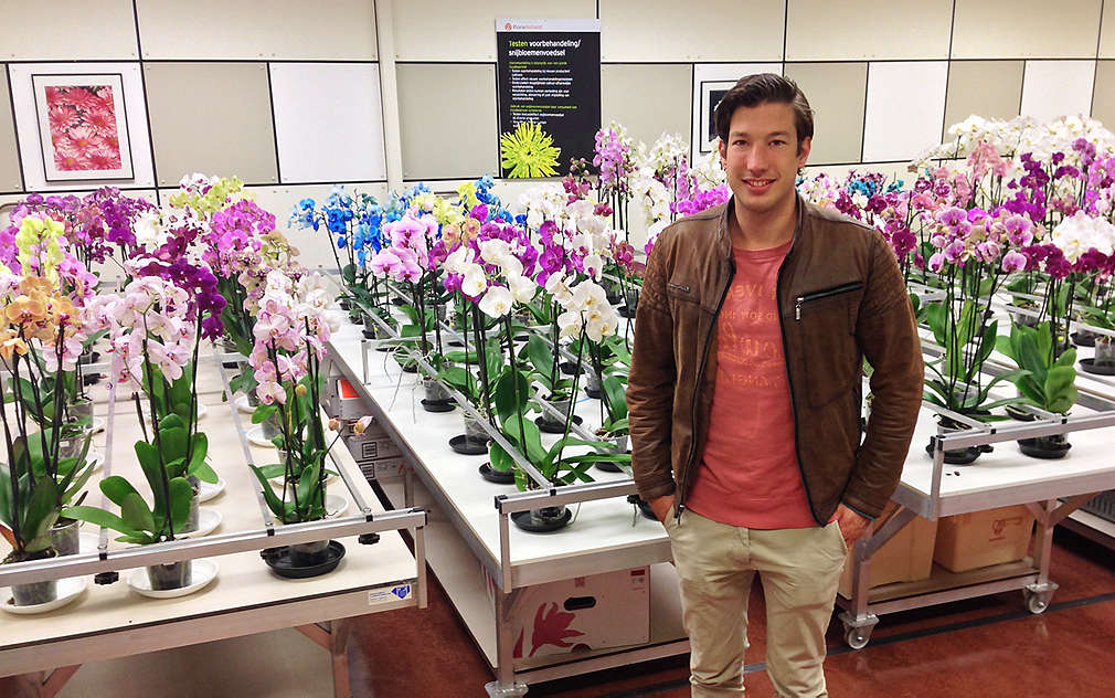 Na řezané kytičky jsme se zajeli mrknout do Holandska